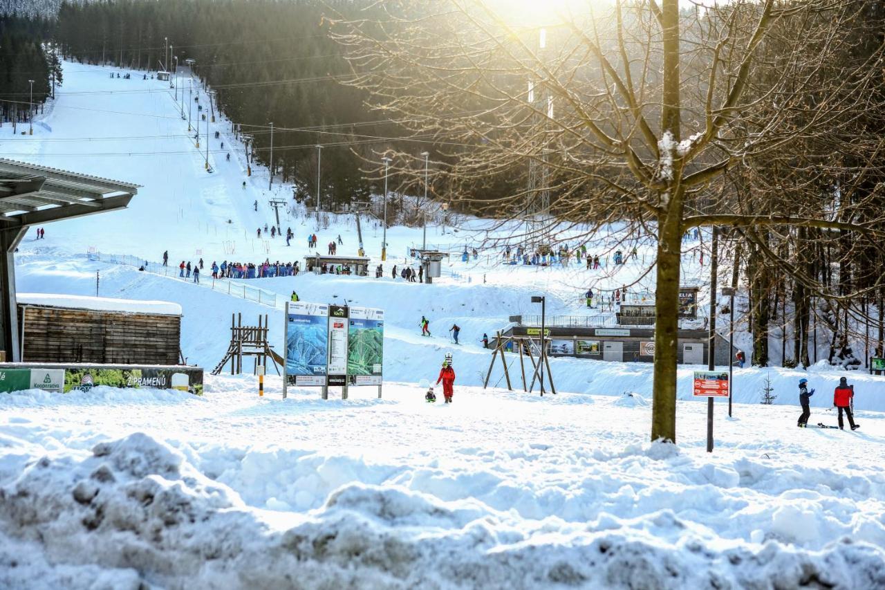 Chata U Vleku Kouty Nad Desnou Loučná nad Desnou Kültér fotó